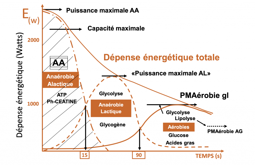 filières énergétiques